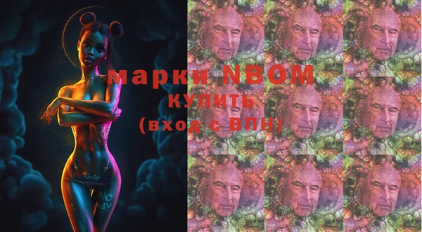 apvp Алексин