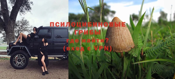 твердый Покровск
