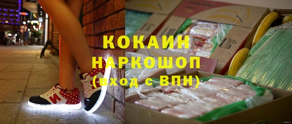 apvp Алексин
