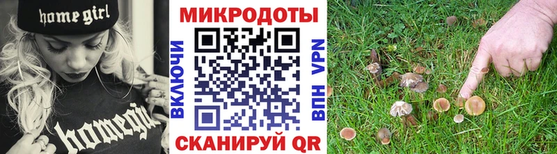 Псилоцибиновые грибы прущие грибы Томмот